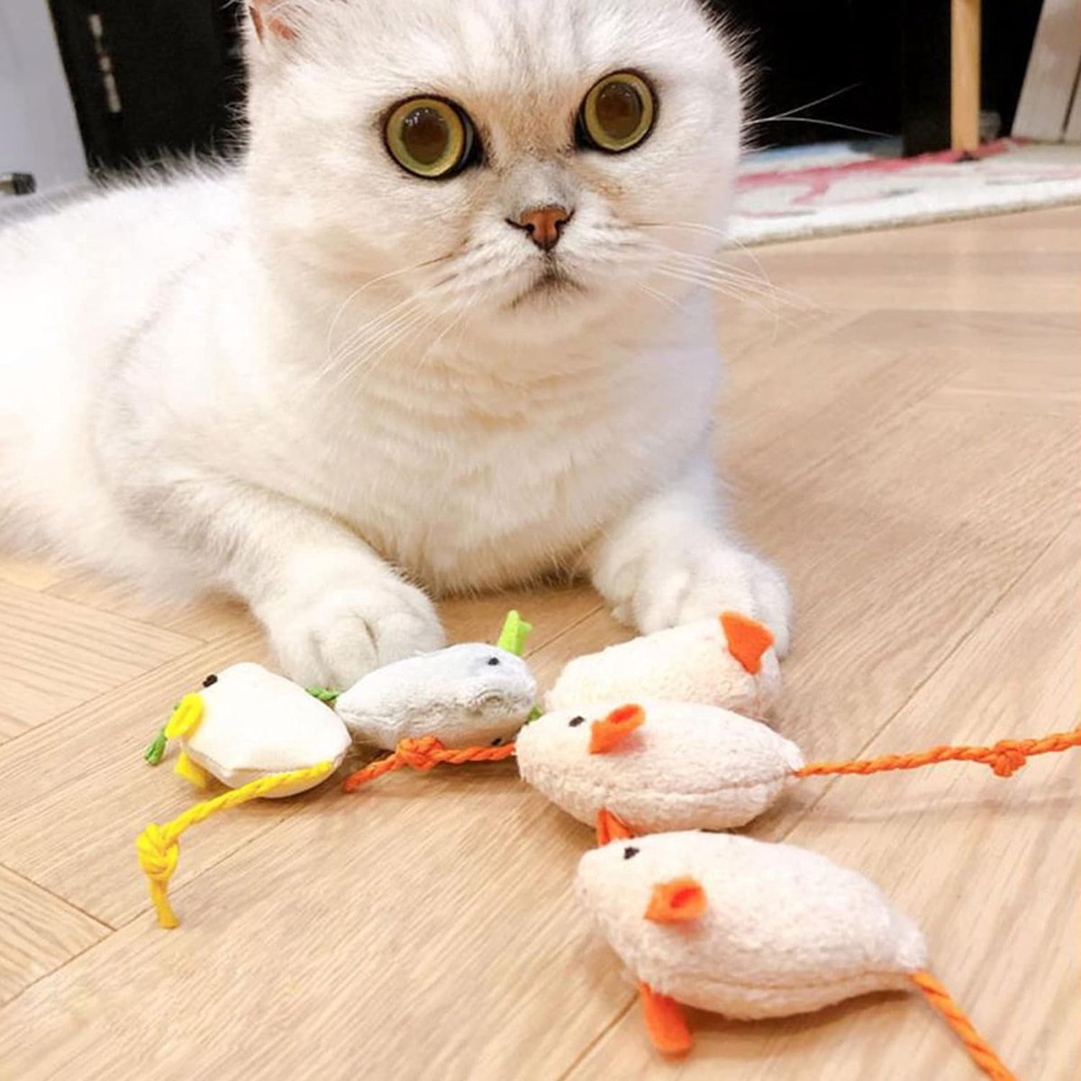 Soodyoow 3 stuks kattenbijttouw en 4 kattenkruidstokjes, kattenspeelgoed, bijttouwen voor katten, kattenkauwspeeltje, kattenspeelgoed zelfstandig werken, kattentandverzorging en tegen slechte adem
