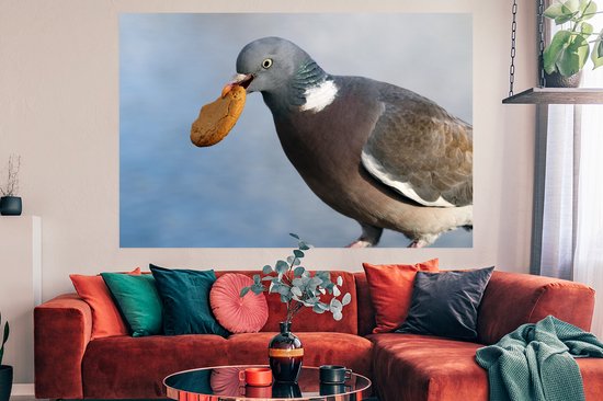 Un vilain pigeon avec un biscuit dans la bouche Poster 180x120 cm - Tirage photo sur Poster (décoration murale salon / chambre) / Poster Vogels XXL / Groot format!