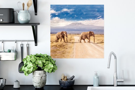 Poster Traversée de trois éléphants - 50x50 cm