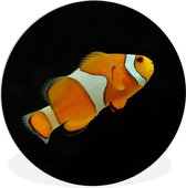 WallCircle - Wall Circle - Wall Circle Indoor - Poisson - Ligne - Zwart - 90x90 cm - Décoration murale - Peintures Ronds