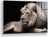 Wallfield™ - King of the Wild | Glasschilderij | Muurdecoratie / Wanddecoratie | Gehard glas | 40 x 60 cm | Canvas Alternatief | Woonkamer / Slaapkamer Schilderij | Kleurrijk | Modern / Industrieel | Magnetisch Ophangsysteem