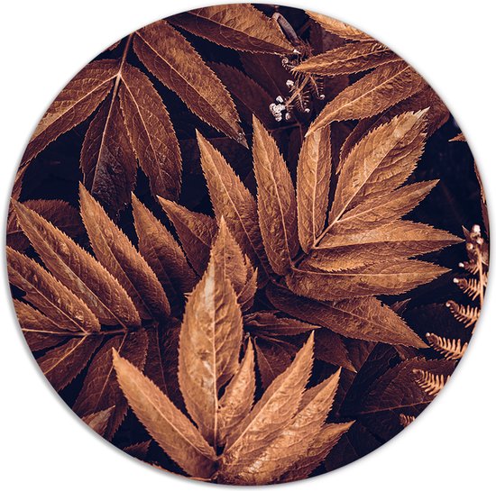 Label2X - Cercle mural plant marron - Ø 12 cm - Forex - Multicolore - Cercle mural - Tableau rond - Décoration murale Cercle - Décoration murale ronde - Décoration pour salon ou chambre