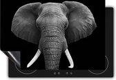 Chefcare Inductie Beschermer Olifantenkop - Olifant - Zwart Wit - 91,2x52 cm - Afdekplaat Inductie - Kookplaat Beschermer - Inductie Mat