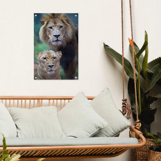 Poster Jardin Lion et Lionne 40x60 cm - petit - Toile de jardin / Toile d'extérieur / Peintures d'extérieur (décoration de jardin)
