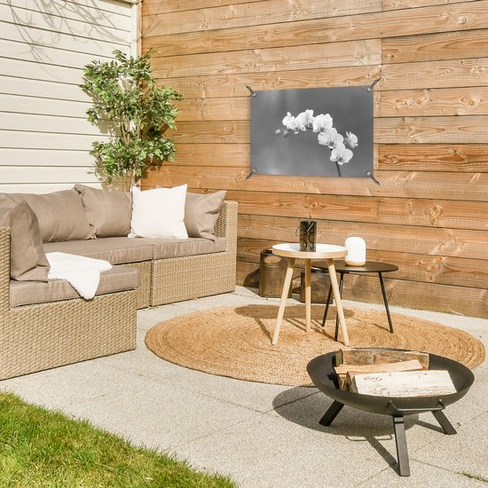 Décoration de jardin Orchidée - Fleurs - Plante - Wit - Violet - 60x40 cm - Poster jardin - Toile jardin - Poster extérieur