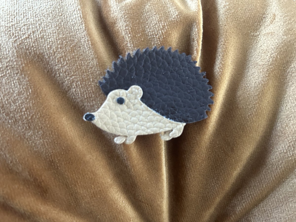Haarspeldje Egel | Herfst