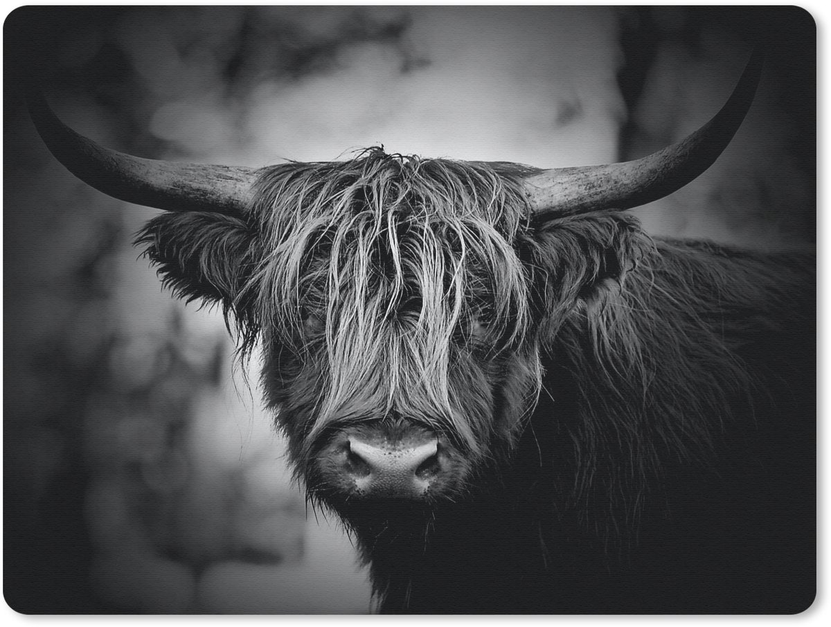 Muismat 23x19 cm - Mousepad Schotse hooglander - Licht - Portret - Natuur - Muismatten