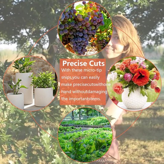 2 stuks snoeischaar kleine oogstschaar trimschaar hennep bonsai schaar plantenschaar cannabis schaar voor tuin bonsai bloemen planten oogst fruit boeket groente rozenschaar van Merkloos	 — afbeelding 5