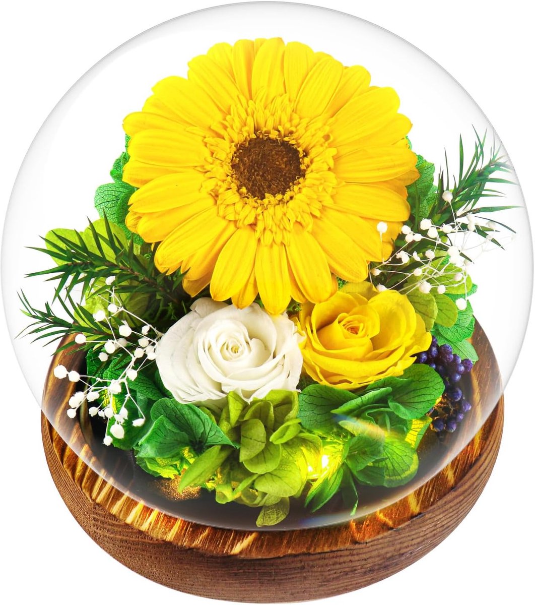Zonnebloemgeschenken voor dames, echte gestabiliseerde zonnebloem in glazen koepel, eeuwige zonnebloemgeschenken, met ledlampjes en geschenkdoos, uitgebreid cadeau voor vrouw, moeder, vriendin, oma