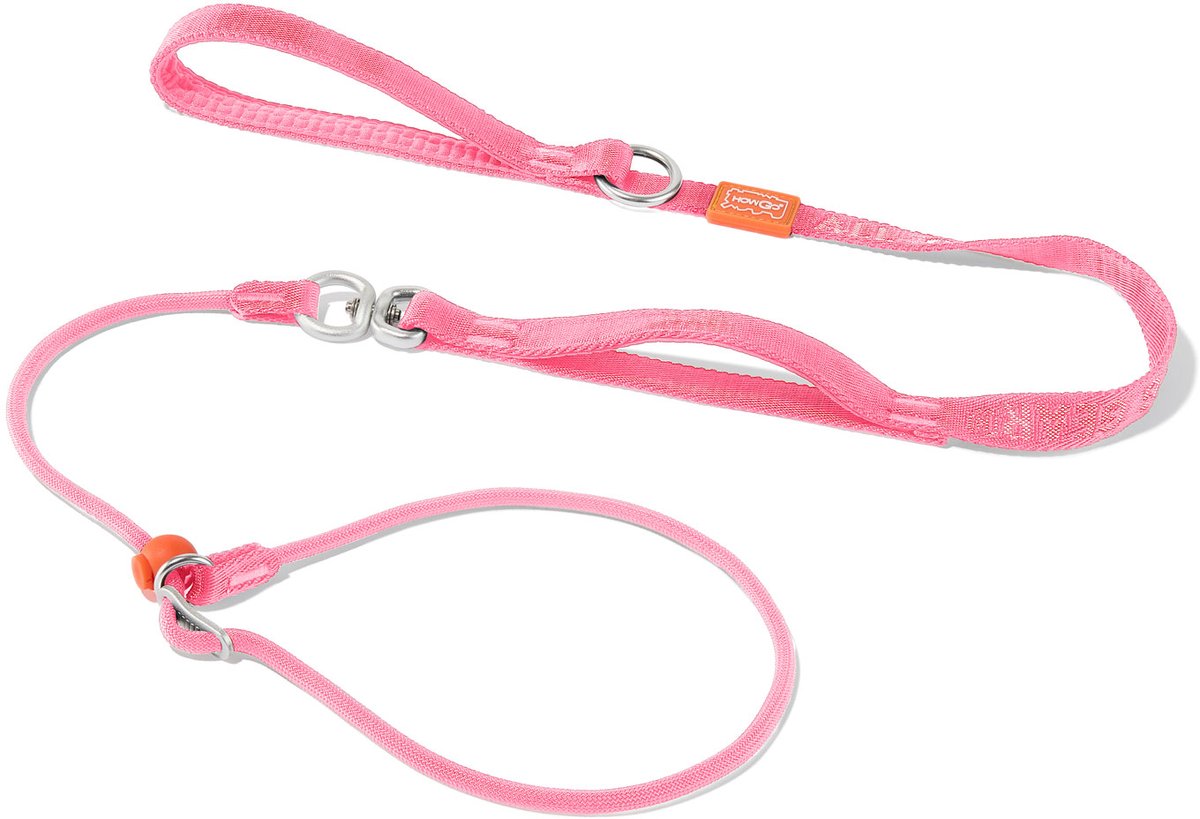 Slip Lead Leash with Collar 1.5m (Pink) - 360° Swivel Anti Tangle / Heavy Duty - No Pull Walking / 2 Handles / Large Medium Small Dogs / Training Hondenriem / Slipriem / Trainingslijn / Sliplijn / Slip Leiband