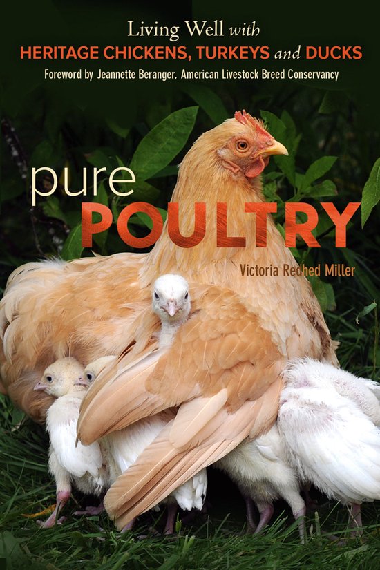 Pure Poultry - cover