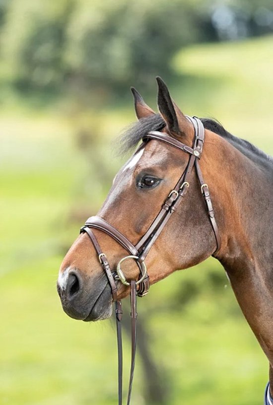 Tête de lit technique HFI
