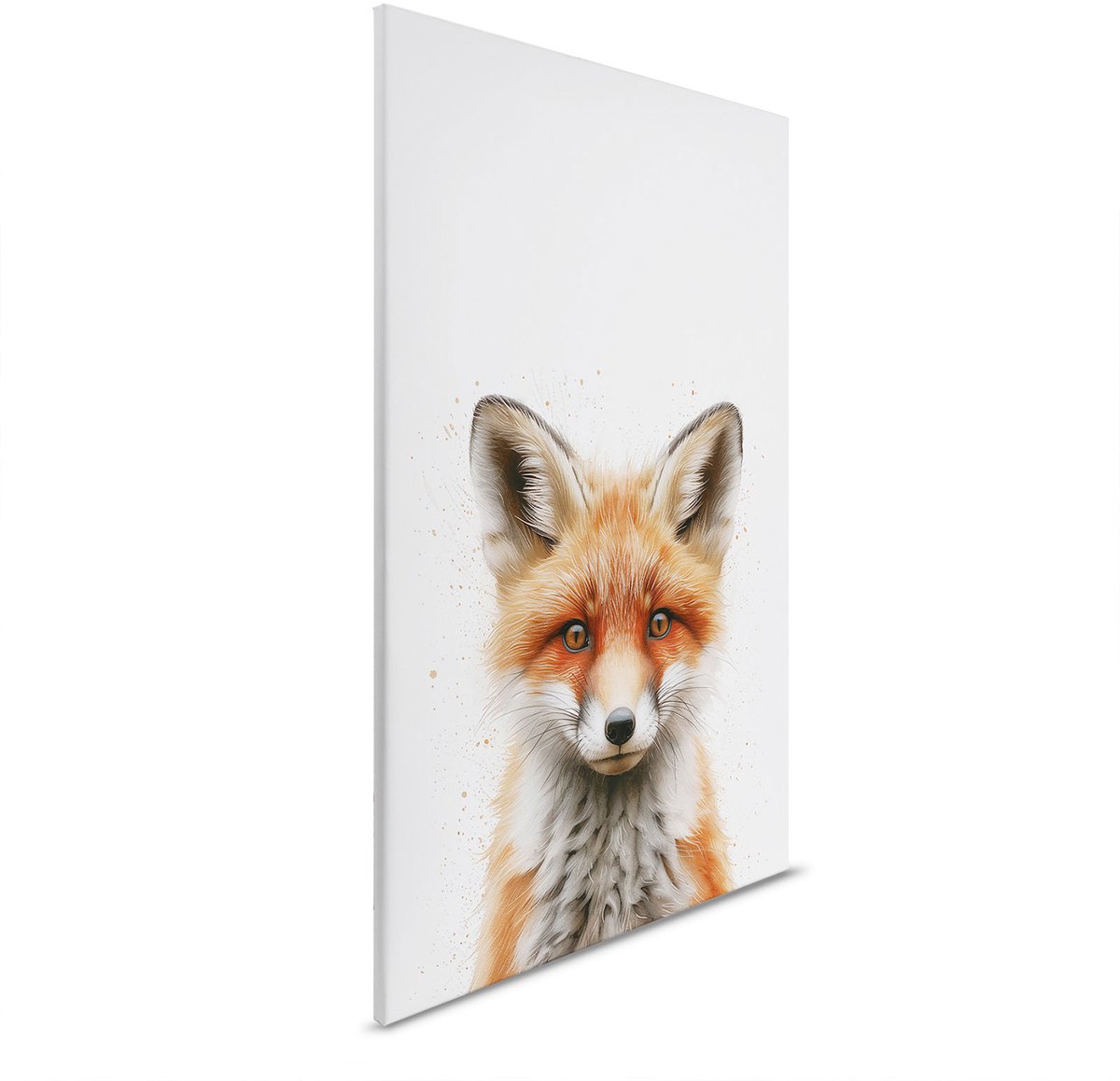 Canvas Baby Fox | DD132977