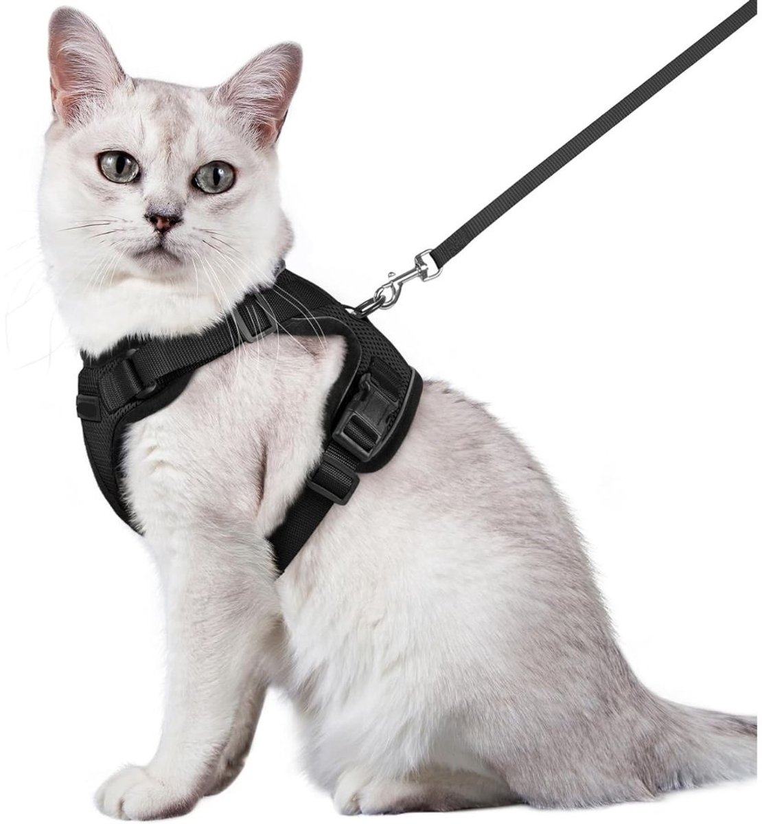 GTB® Kattentuigje met Looplijn - Kattentuigje - Kattenharnas - Zwart - 22cm x 16cm x 5cm