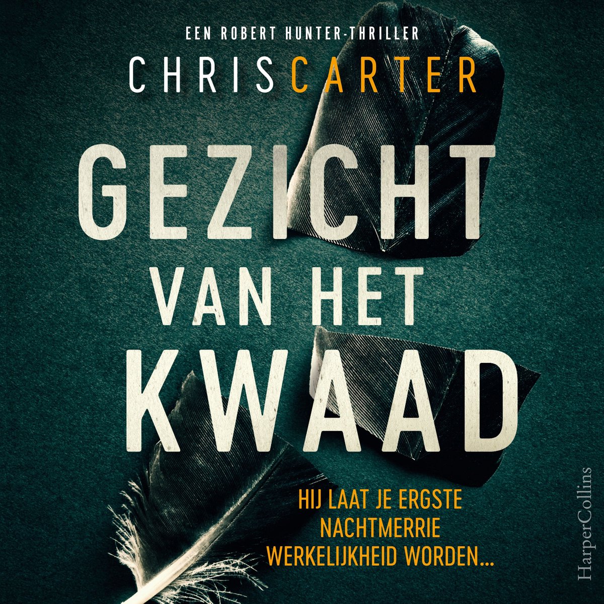 Omslag van Gezicht van het kwaad