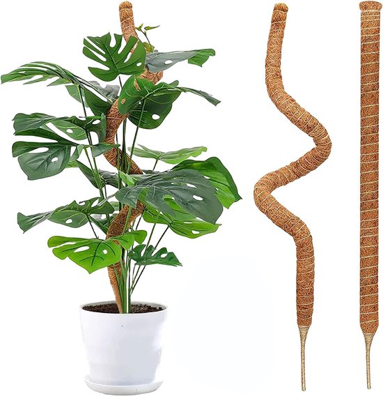 Foto: 2 stuks buigzame mosstokken voor monstera plantenstokken voor kamerplanten verdikte kern handgemaakte plantenstok ondersteuning voor potplanten voor de groei van klimplanten