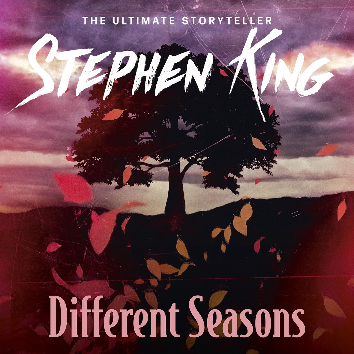 Omslag van Different Seasons