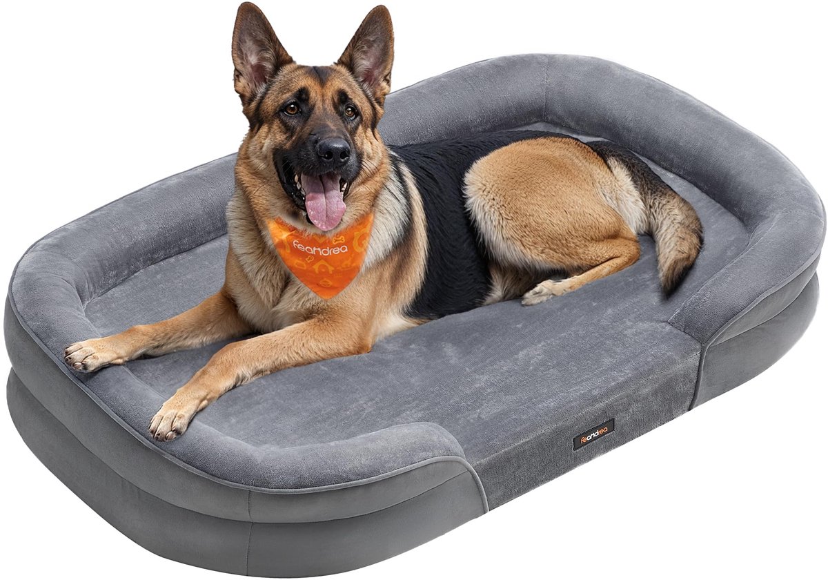 Feandrea Hondenbed, Hondenkussen, voor Extra Grote Honden, 122 x 85 x 20 cm, Orthopedisch, Waterdichte Binnenlaag, Opstaande Randen, Afneembare, Wasbare Hoes, Antislip, Lichtgrijs PGW284G01