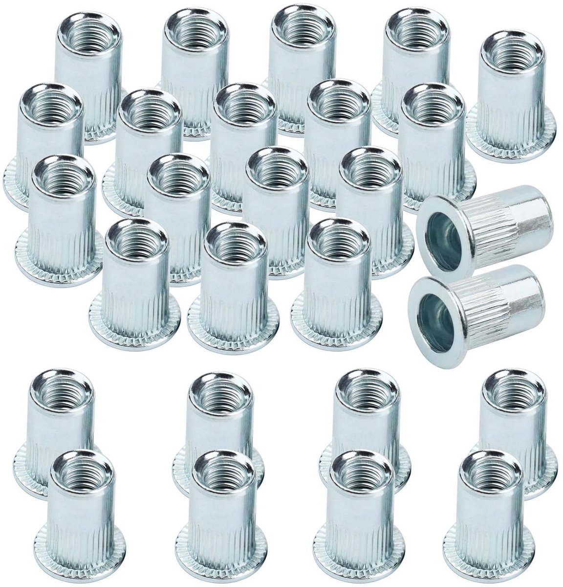 Allecto Premium - 100 stuks RVS Blindklinkmoeren M6 in Transparante Doos - Sterke en Betrouwbare Draadblindklinkmoeren - Assortiment Metrische Klinknagels voor Roestvrij Staal, Aluminium en Ijzer
