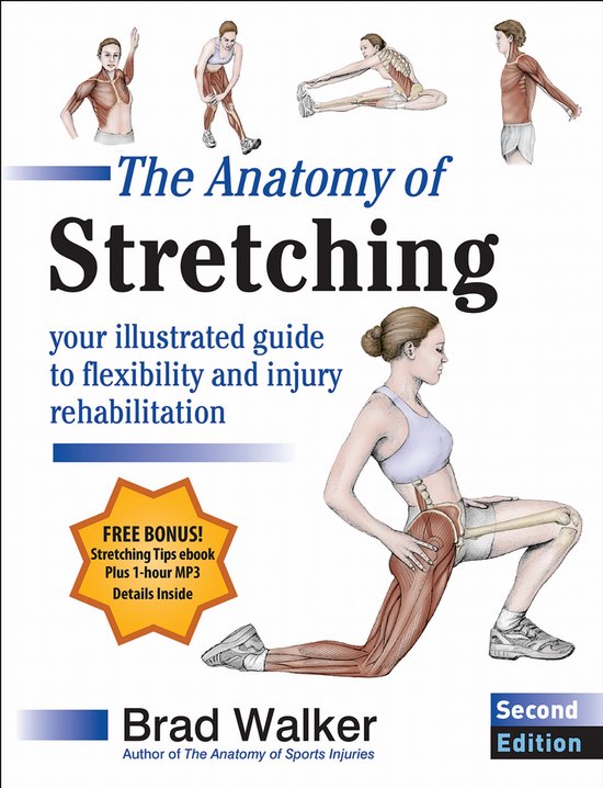 The Anatomy of Stretching - cover