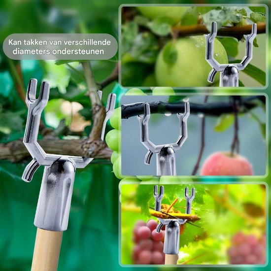 Dussdote Boomstandaard - 8 stuks - Metalen takklemmen - Voor fruitbomen - Boompalen - Plantenstandaard - Voor het ondersteunen van fruitboomtakken, boomgaarden van Merkloos	 — afbeelding 4