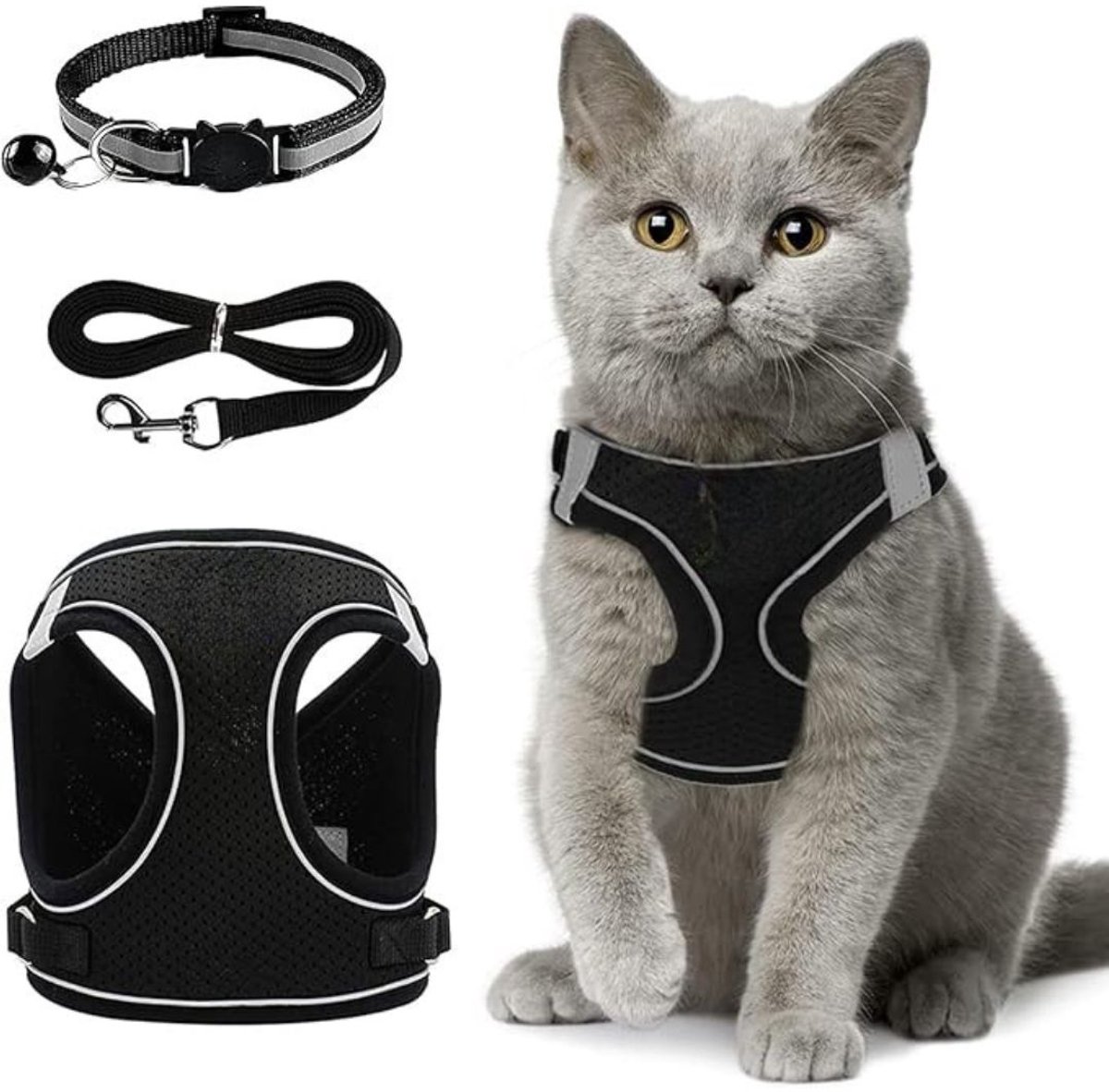 GTB® Kattentuigje met Looplijn - Kattentuigje - Kattenharnas - Zwart - 21cm x 19cm x 3cm