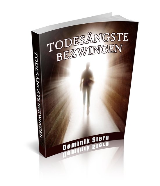 Todesängste bezwingen - cover