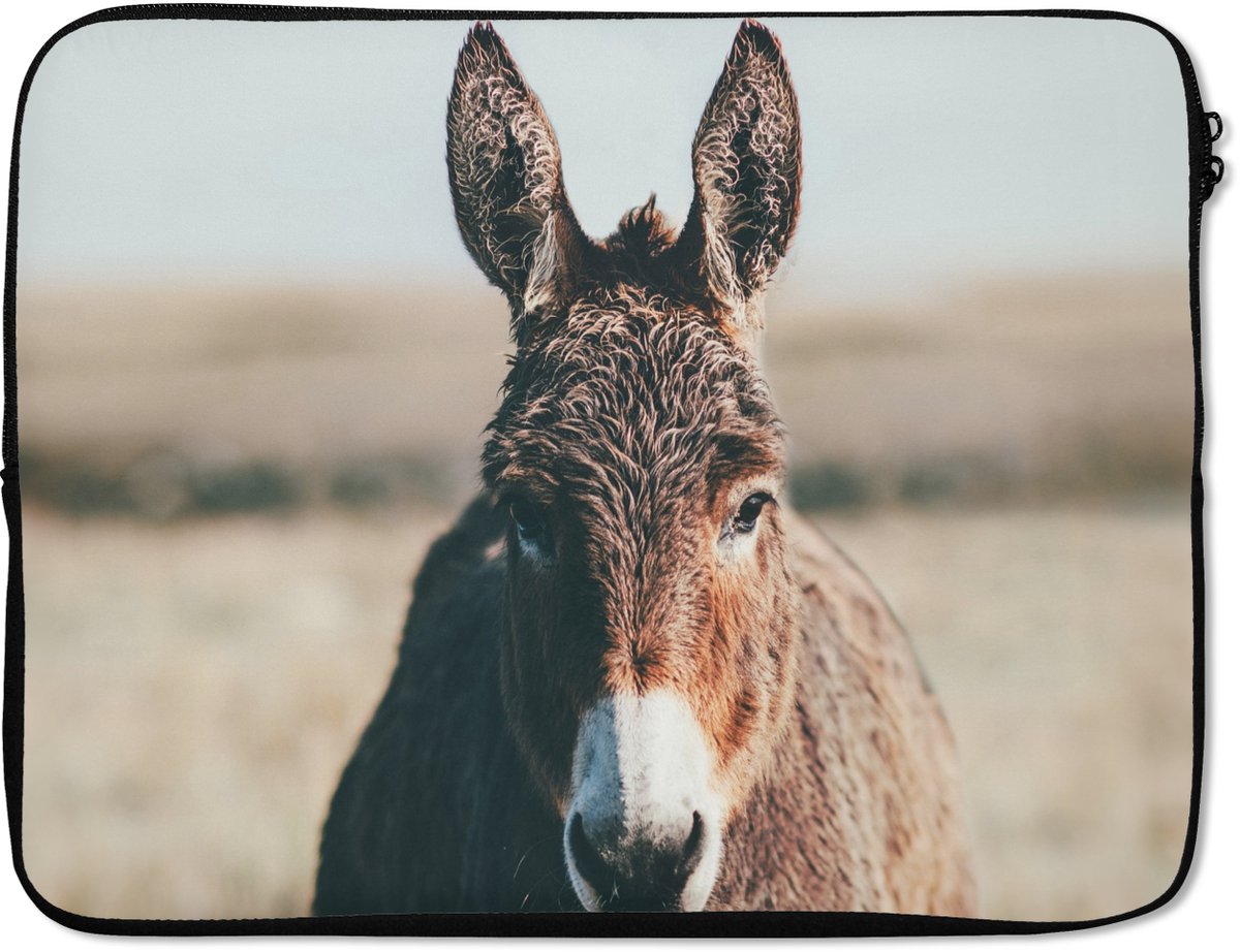 Laptophoes - Laptop - Dieren - Ezel - Gras - Portret - Laptop sleeve - 17 Inch