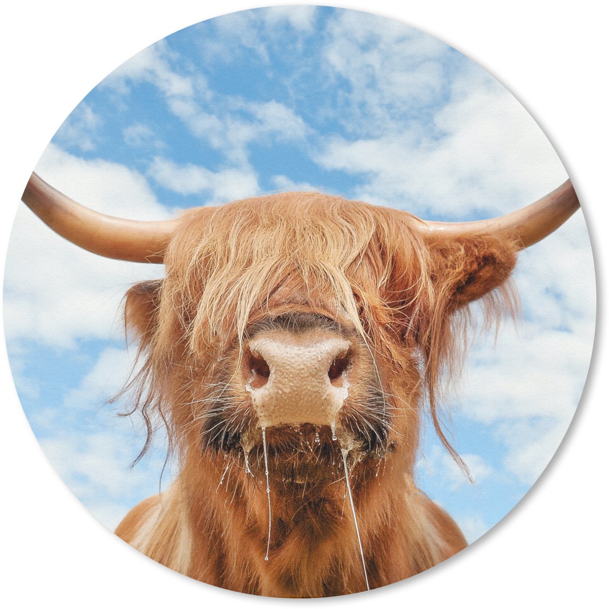 Muismat rond 40x40 cm - Mousepad Schotse Hooglander - Wolk - Dieren - Ronde muismatten