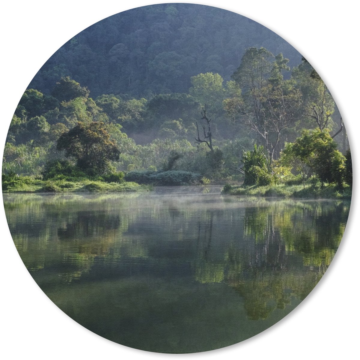 Muismat rond 20x20 cm - Mousepad Geweldige weerspiegeling van een tropisch regenwoud in een meertje in Jakarta - Ronde muismatten