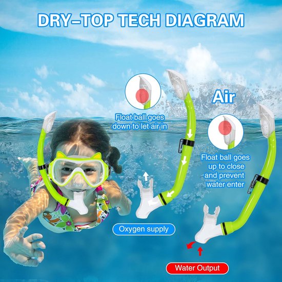 Dorlle Snorkelset voor volwassenen, met premium dry-snorkel en gehard glas, 180° panorama, anti-condens, anti-lek, snorkelmasker voor snorkelen en zwemmen, met draagtas