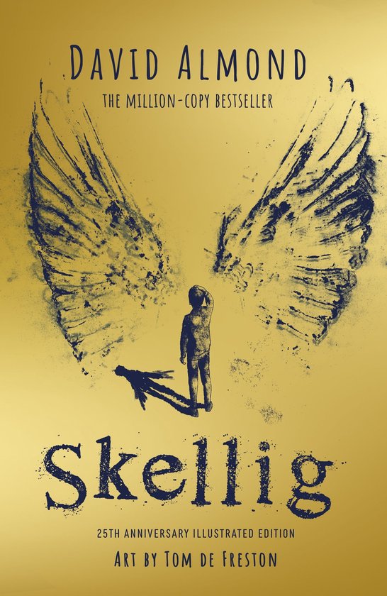 Skellig: the 25th anniversary illustrated edition - cover