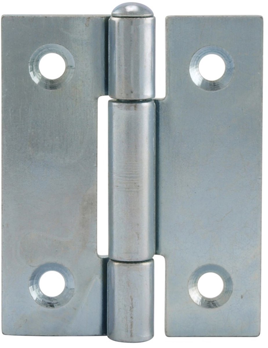 Ivana Smal Klepscharnier 30x26mm Gegalvaniseerd Gezet Met Losse Pen