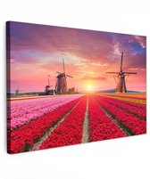 Tuinschilderij voor buiten 120x80 cm - Tuindecoratie Bloemen - Tulpen - Bloemenveld - Molens - Holland - Tuinposter op canvas - Tuin muurdecoratie - Buitenschilderij decoratie - Schutting wanddecoratie - Buitencanvas