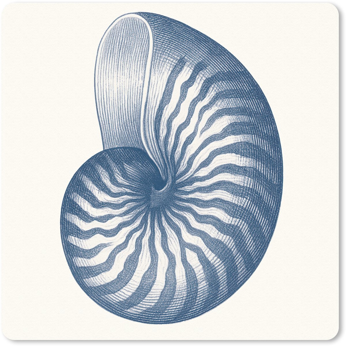 Muismat 30x30 cm - Mousepad Blauw - Schelp - Spiraal - Muismatten