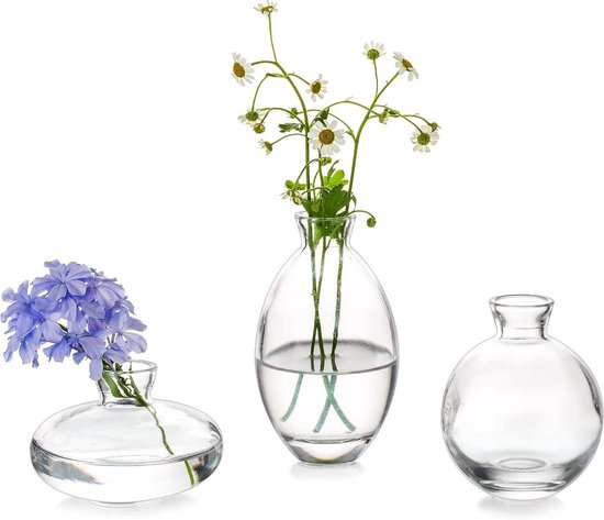 Kleine Vaas Voor Tafeldecoratie Handgemaakte Glazen
