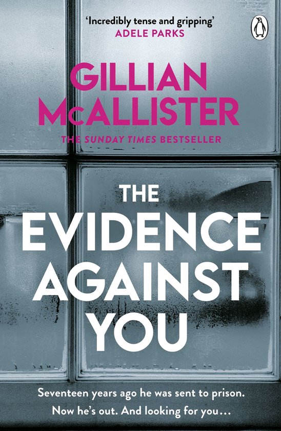 The Evidence Against You - cover