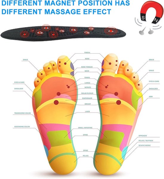 Magnetische inlegzolen, orthopedische inlegzolen, acupressuur-inlegzolen, massage-inlegzolen, massage, afvallen, preventie van fasciitis, uniseks, schaalbaar, maat 35-40, blauw Magnetische inlegzolen, orthopedische inlegzolen, acupressuur-inlegzolen, massage-inlegzolen, massage, afvallen, preventie van fasciitis, uniseks, schaalbaar, maat 35-40, blauw