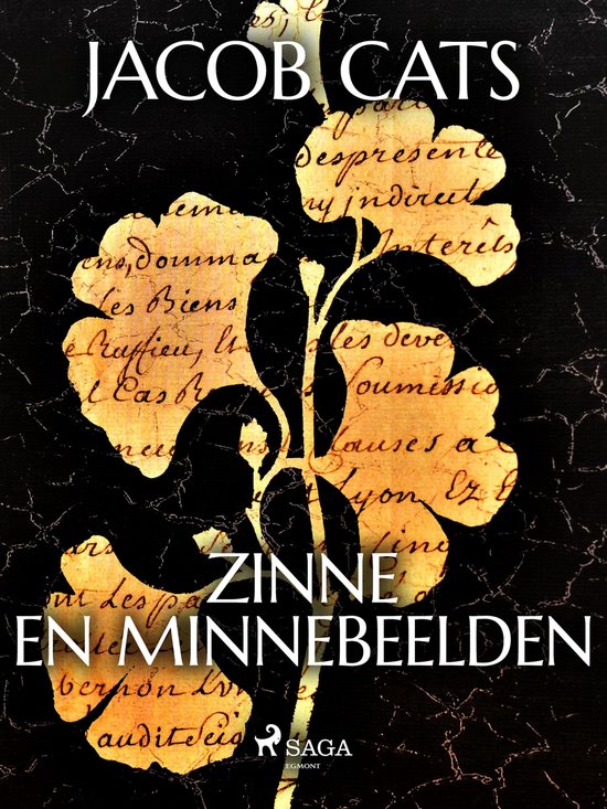 Zinne en Minnebeelden - cover