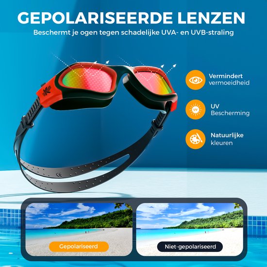 Gepolariseerde