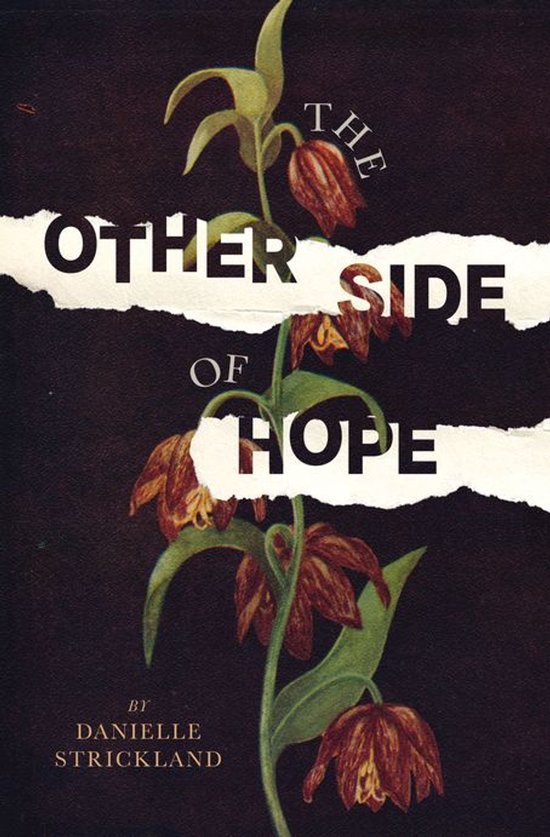 The Other Side of Hope - cover