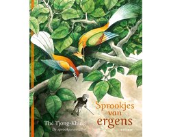 foto van De sprookjesverteller - Sprookjes van ergens