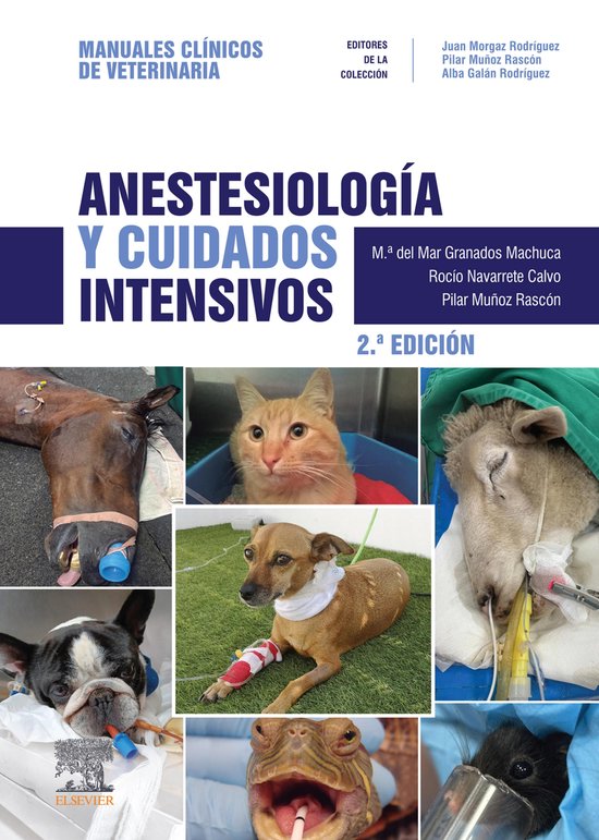 Anestesiología y cuidados intensivos - cover