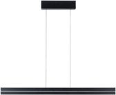 Zwarte hanglamp Raiko met ophanging aan witte achtergrond.