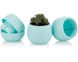 6st ronde cactus bloempotjes blauw 6cm met wateropvang drainage stekpotje