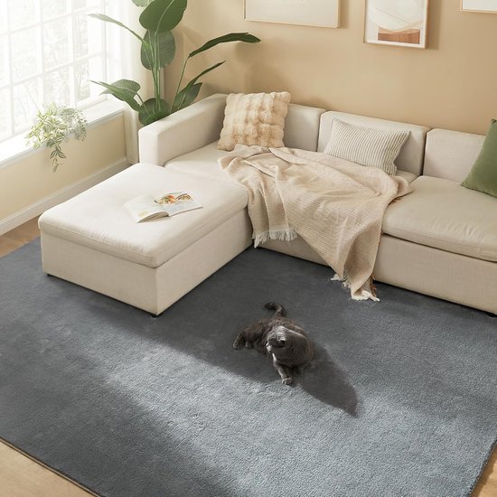 SONGMICS Vloerkleed 200 x 290 cm – Anti-slip Tapijt voor Woonkamer en Slaapkamer – Machine wasbaar – Modern Design – Duifgrijs – TAR014G01