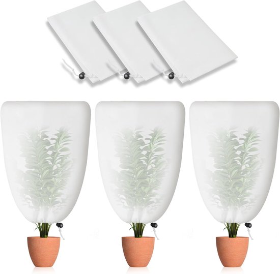 KENTIS - Bonsaï Grenade - Punica Granatum Bonsaï - Plantes d'Extérieur KENTIS - Bonsaï Grenade - Punica Granatum Bonsaï - Plantes d'Extérieur