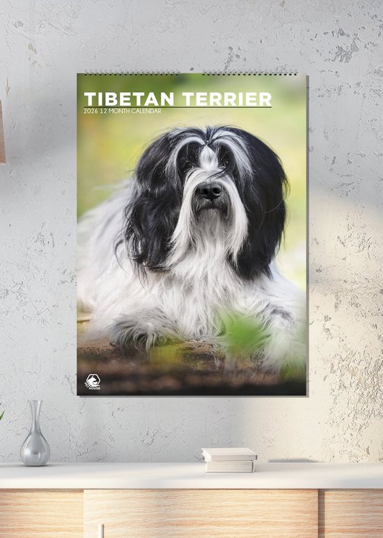 Dog Breed Calendar Cairn Terrier Calendar 2026 - A3 Wall Calendar With