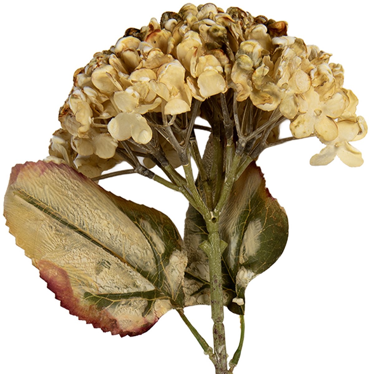 Kunstbloem - Zijden 15x15x47 cm Beige Kunststof Kunstbloemen