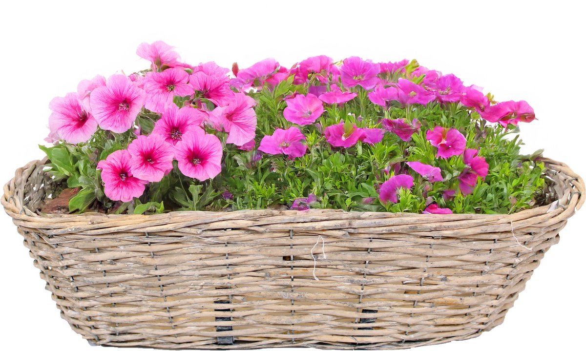 Van der Leeden Balkonmand - ovaal - rotan gevlochten - 46 x 22 x 17 cm - bloemen/planten mand - schuttingmand - hangmand - plantenpot - bloempot